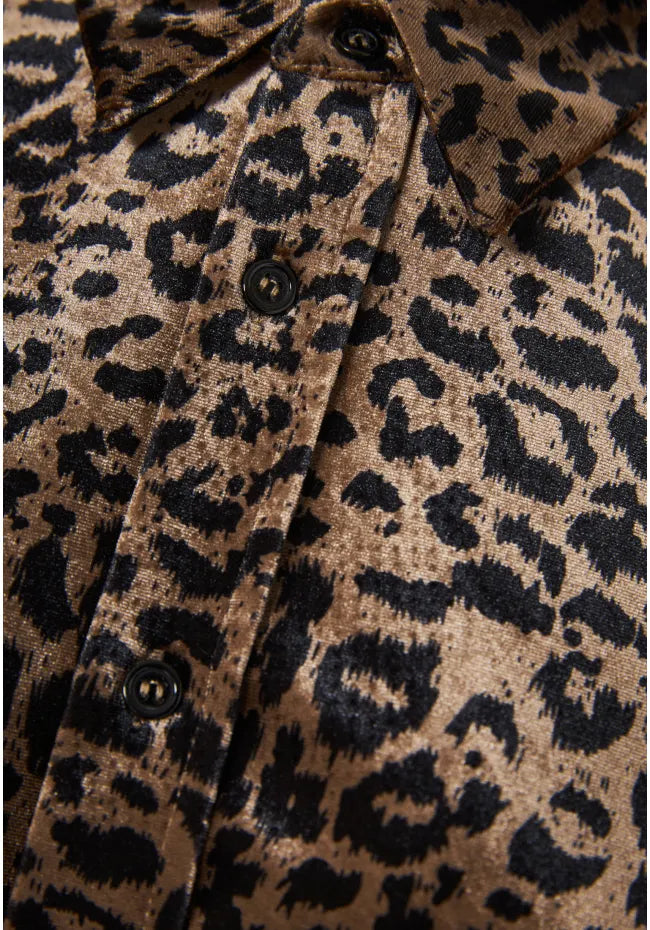 Λεοπαρ βελουτε πουκαμισο cigar